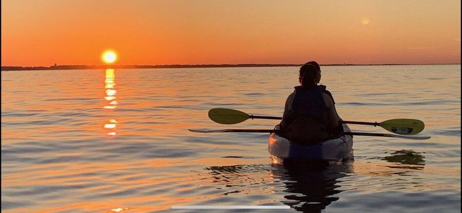 Anna Maria Island and Bradenton: Sunset Kayak Dolphin Tour - Wildlife Expectations: What’s Guaranteed vs What’s a Bonus