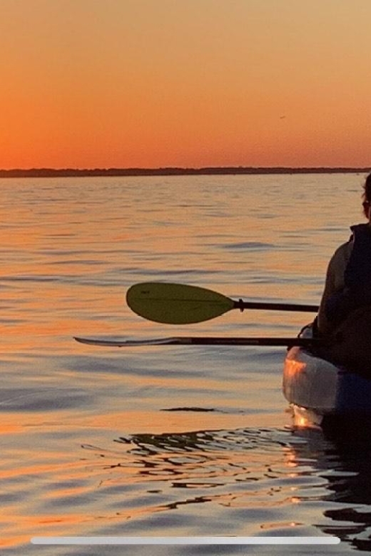 Anna Maria Island and Bradenton: Sunset Kayak Dolphin Tour - The 2-Hour Format: How Sunset Kayaking Actually Unfolds