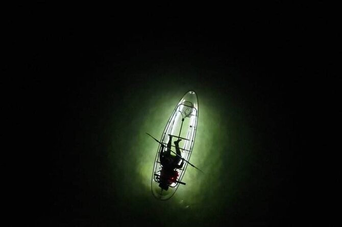 Anna Maria Island - Clear Kayak LED Night Glass Bottom Tour - Why the clear-bottom LED kayak at night is so special