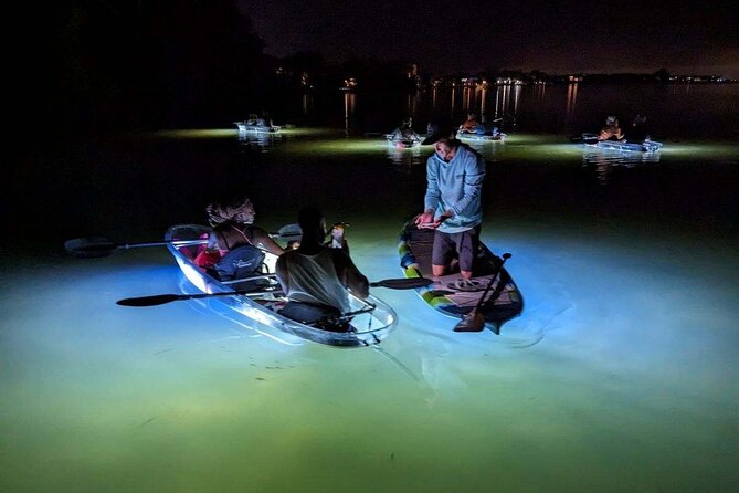 Anna Maria Island - Clear Kayak LED Night Glass Bottom Tour - How the glowing clear-bottom setup actually helps you see