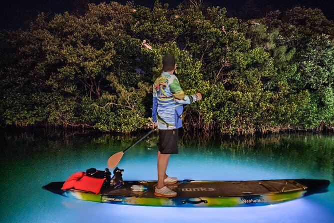 Anna Maria Island - Clear Kayak LED Night Glass Bottom Tour - What to wear (and what to bring) so you enjoy the wet part