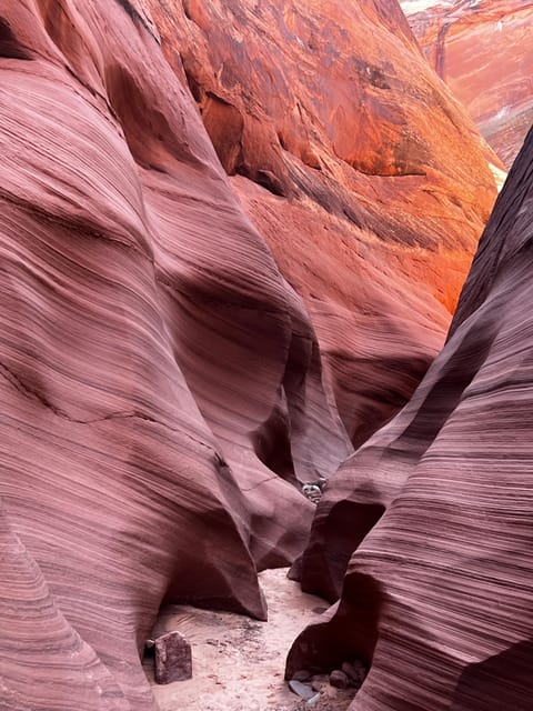 Antelope Canyon Lake Powell: Guided Kayaking & Hike Tour - Price and value: $119 plus the park entry fee