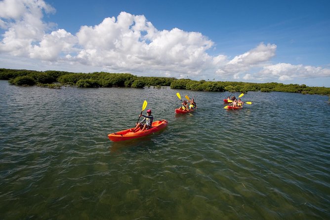Antigua Zipline & Kayaking Combo From St. John's - Getting going from St. John’s: a morning that makes sense