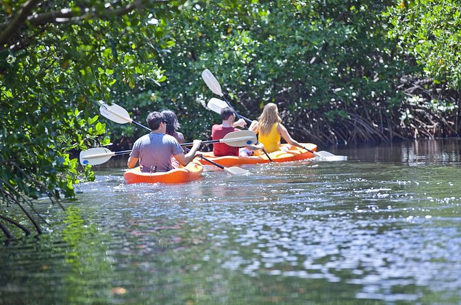 Antigua Zipline & Kayaking Combo From St. John's - What to bring (and what to think about before you go)