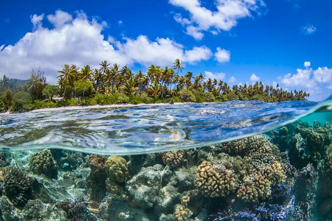Apetahi day trip around Raiatea on a modern outrigger canoe - Key highlights you’ll actually care about