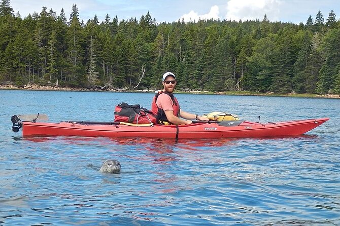 Aqua Safari Kayak tour departing Southwest Harbor - Paddling the Acadia area: how the guide picks the route