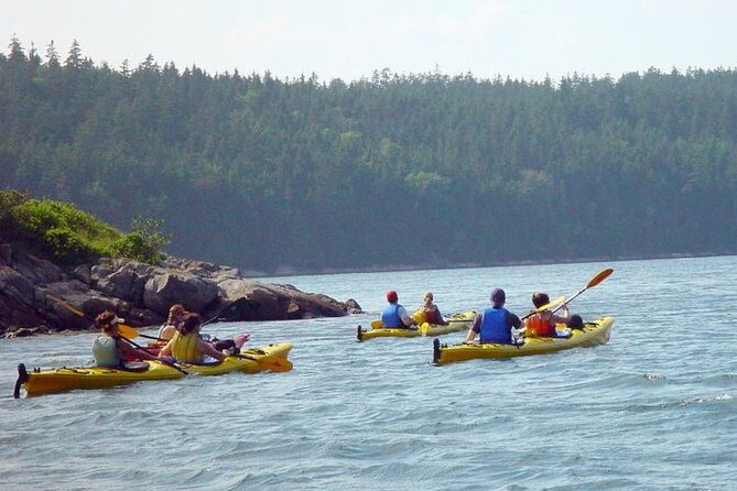 Aqua Safari Kayak tour departing Southwest Harbor - Wildlife viewing and ecology talk: how you make sense of what you see