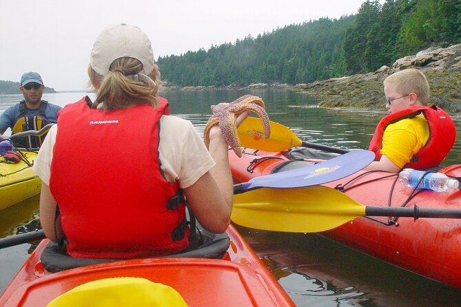 Aqua Safari Kayak tour departing Southwest Harbor - The coastal beach stop: planning for snacks, not a restaurant lunch