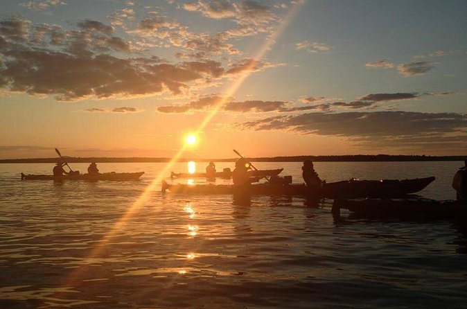 Aqua Safari Kayak tour departing Southwest Harbor - Price and value: is $191 for a 4-hour Acadia kayak tour fair?