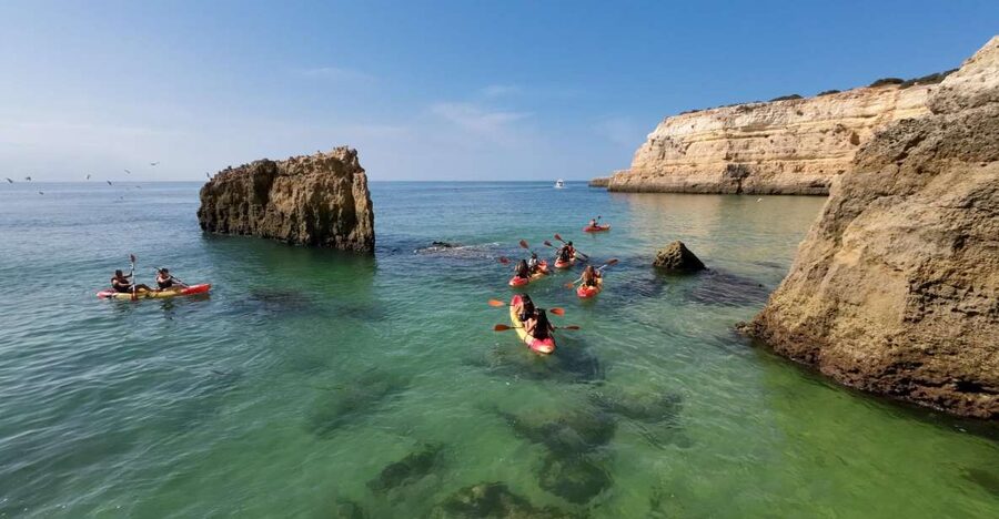 Armação de Pêra: 2-Hour Wild Beaches and Caves Kayak Tour - Stop-by-stop: Praia dos Beijinhos, Gruta da Cova Redonda, and Albandeira Beach