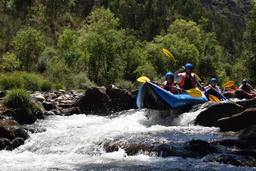 Arouca: Paiva River Kayak Adventure & Village Visit - Protected places and local wildlife: why the river feels wilder