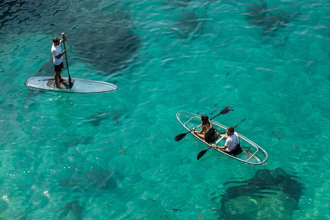 Arrábida: Guided Transparent Kayaking Tour - Transparent Kayaking in Arrábida Natural Park: The Real Reason to Go