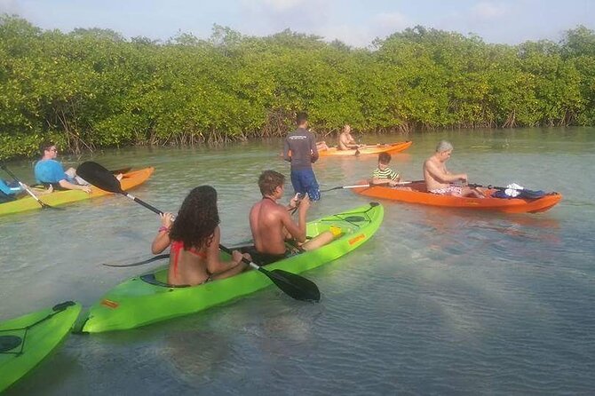 Aruba Glass Bottom Kayak Tour through the Mangrove Forest - The 2-Mile Paddle Along Aruba’s Coast: Comfort, Current, and Coordination