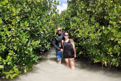 Aruba Glass Bottom Kayak Tour through the Mangrove Forest - Glass-Bottom Kayaking in Aruba: What You’ll See (and What Might Change)
