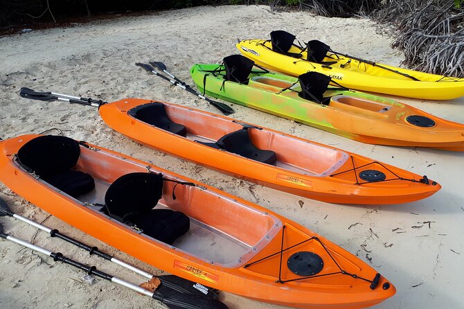 Aruba Glass Bottom Kayak Tour through the Mangrove Forest - Mangel Halto Beach Reef Views: Wrapping Up with Coral and Fresh-Air Time