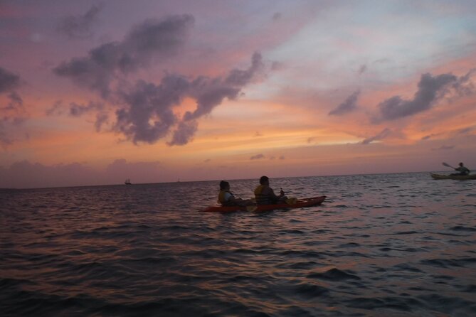Aruba Night Glass Kayak Tour - Why an After-Dark Kayak Tour Makes Sense at Arashi Beach