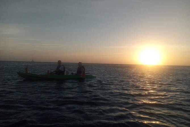 Aruba Night Glass Kayak Tour - Spotting Coral and Fish With LED Lights Under Your Kayak