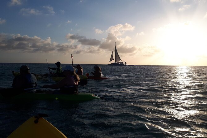 Aruba Night Glass Kayak Tour - The Night Sky Moment: Stars Over the Water