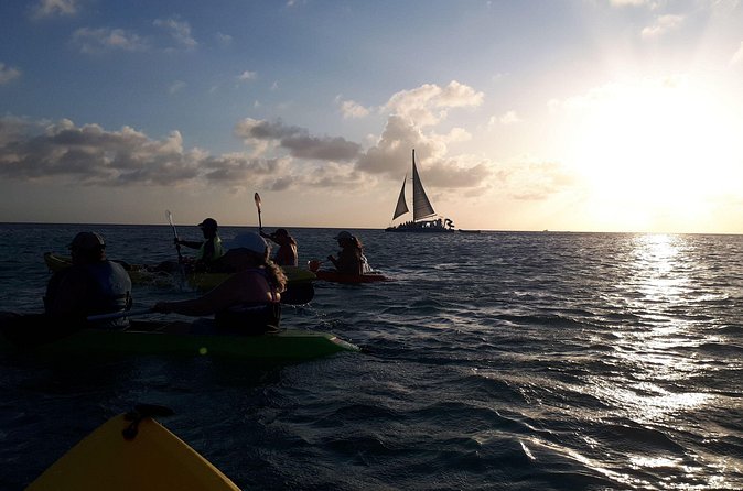 Aruba Night Glass Kayak Tour - What’s Included, What’s Not, and What to Bring