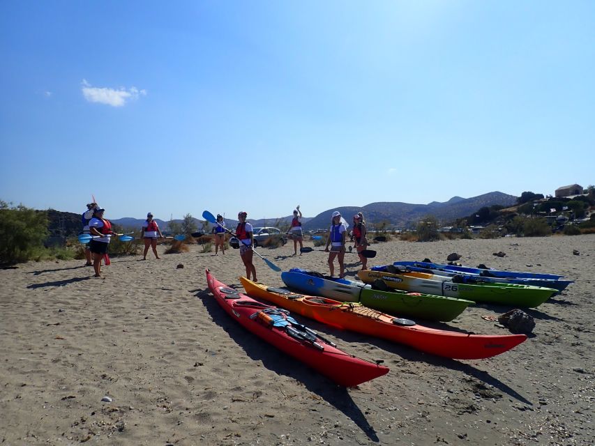 Athens: Sea Kayaking Adventure on the South/East Coast - Should You Book This Athens Sea Kayaking Adventure?