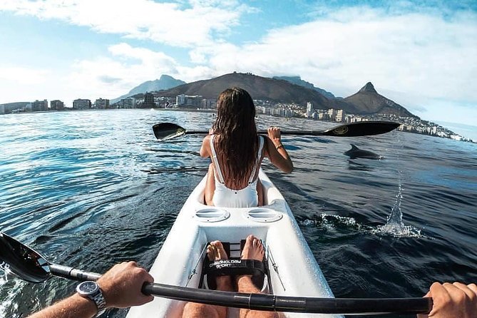 Atlantic Outlook Kayak Tour Cape Town - Dolphins, Penguins, Seals, Whales, and Jellyfish: What You Can Realistically Expect