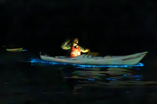 Auckland Bioluminescence Kayak Tour - Key Things You’ll Notice