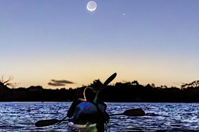 Auckland Bioluminescence Kayak Tour - Night Kayaking in Auckland: Sea Sparkle Where Your Paddle Sparks the Glow