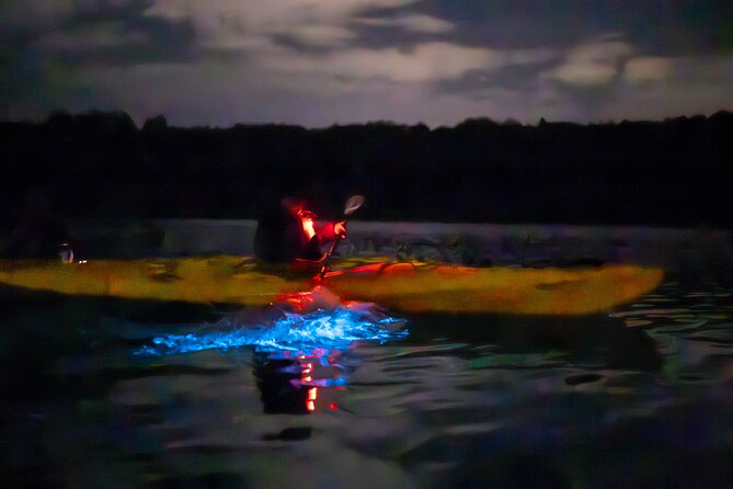 Auckland Bioluminescence Kayak Tour - The 2-Hour Experience: How the Night Paddle Typically Flows
