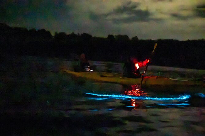 Auckland Bioluminescence Kayak Tour - Photo and Sky Tips: Capturing Blue Light Without Losing the Magic