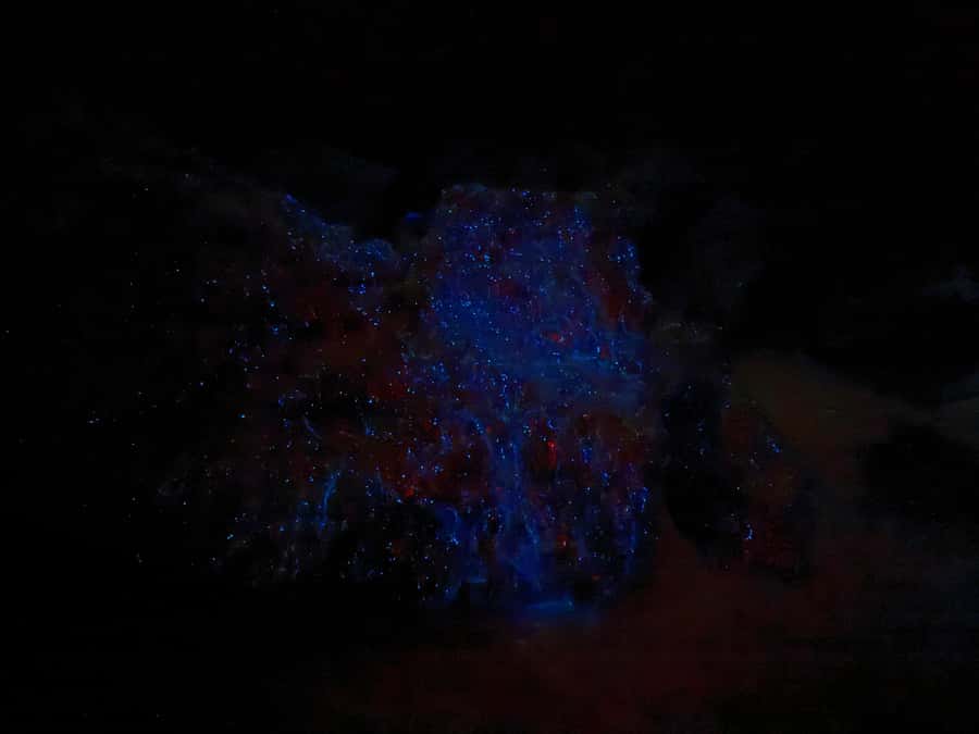 Auckland: Bioluminescence Kayak Tour with Guide - Your 2-Hour Auckland Night Paddle: What It Feels Like