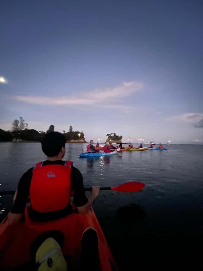Auckland: Bioluminescence Kayak Tour with Guide - Launch Time: When the Ocean Turns Into a Dark Stage