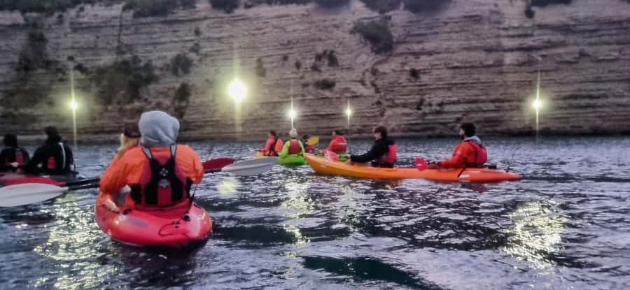 Auckland: Bioluminescence Kayak Tour with Guide - Who This Tour Is Best For (And Who Should Skip It)