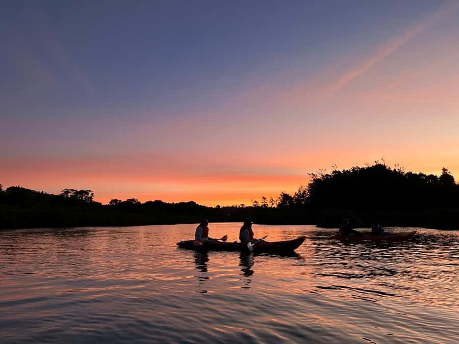Auckland: Bioluminescence Kayak Tour with Guide - Where You Start in Auckland (And Why They Confirm It Later)
