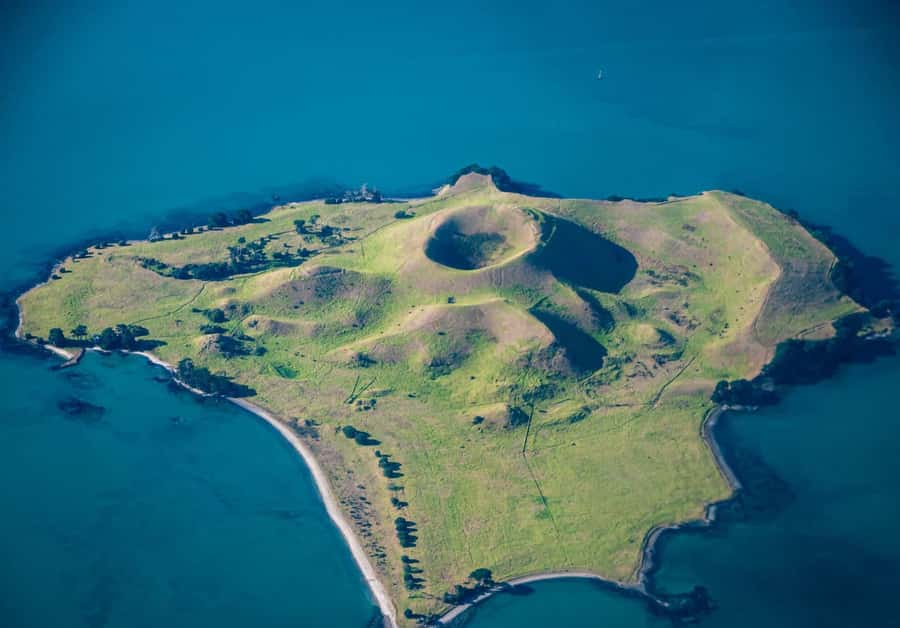 Auckland: Browns Island (Motukorea) Sea Kayak Tour - Key things you’ll notice on this Browns Island kayak tour