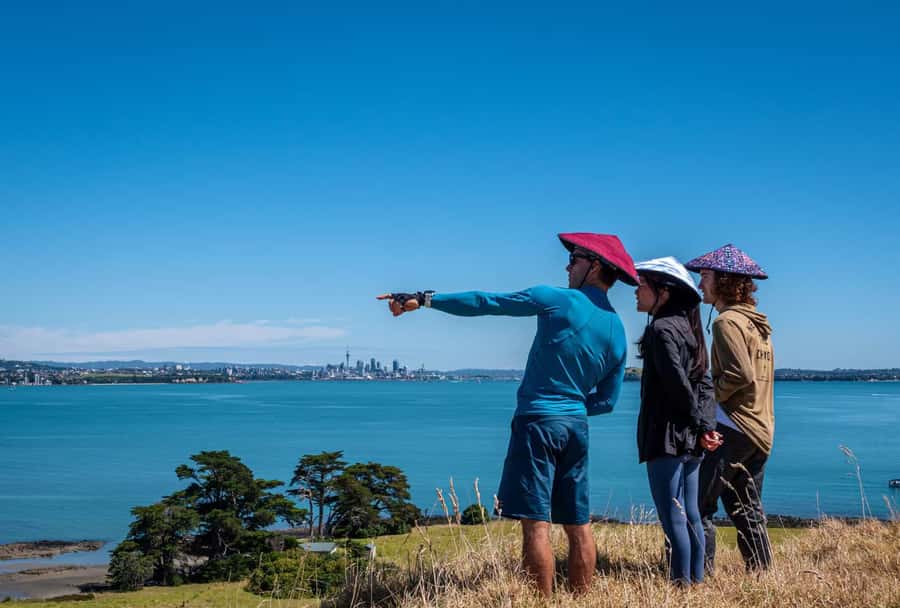 Auckland: Browns Island (Motukorea) Sea Kayak Tour - Price and value at $89: what you’re paying for