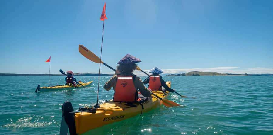 Auckland: Browns Island (Motukorea) Sea Kayak Tour - Paddling through Waitematā Harbour and the Hauraki Gulf
