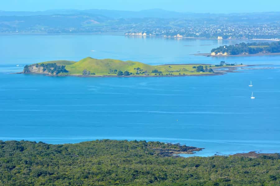 Auckland: Browns Island (Motukorea) Sea Kayak Tour - The one-way paddle timing and what your 4 hours really feel like