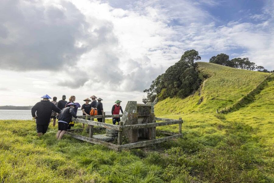 Auckland: Browns Island (Motukorea) Sea Kayak Tour - Browns Island on foot: a guided volcanic walk on Motukorea