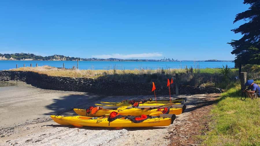Auckland: Browns Island (Motukorea) Sea Kayak Tour - Bird sanctuary time: dotterel, oystercatcher, and quiet spotting skills