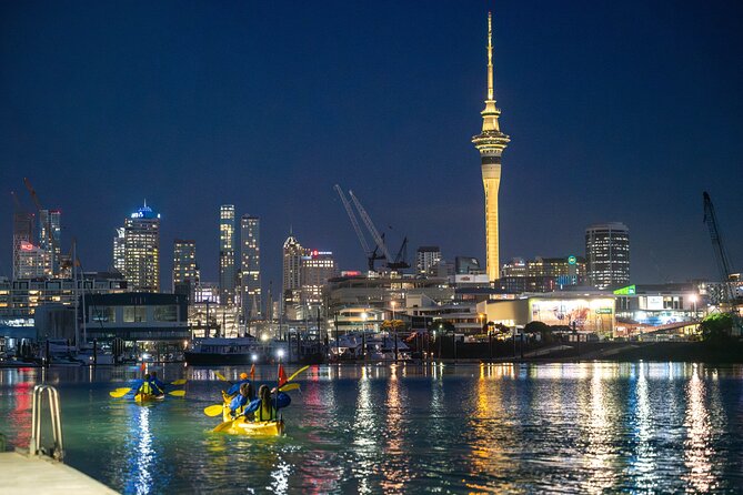 Auckland City Lights Night Kayaking Tour - City Lights Night Kayaking: Why Auckland Works So Well After Dark