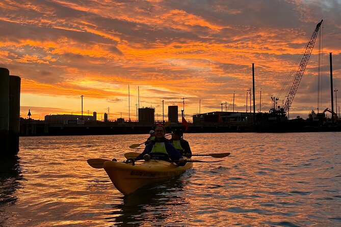 Auckland City Lights Night Kayaking Tour - Harbour Bridge Stop: Vector Light Views Up Close