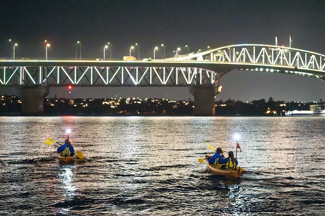 Auckland City Lights Night Kayaking Tour - Small-Group Paddling: How the Tour Actually Feels