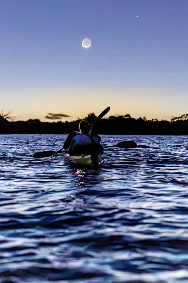 Auckland: Night Kayak Tour in Glowing Bioluminescent Waters - Sea Sparkle in Auckland’s water: what you’re actually seeing