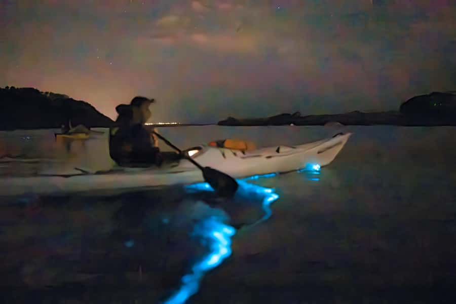 Auckland: Night Kayak Tour in Glowing Bioluminescent Waters - Choosing your launch spot: Okura Boat Ramp vs Waiake Beach