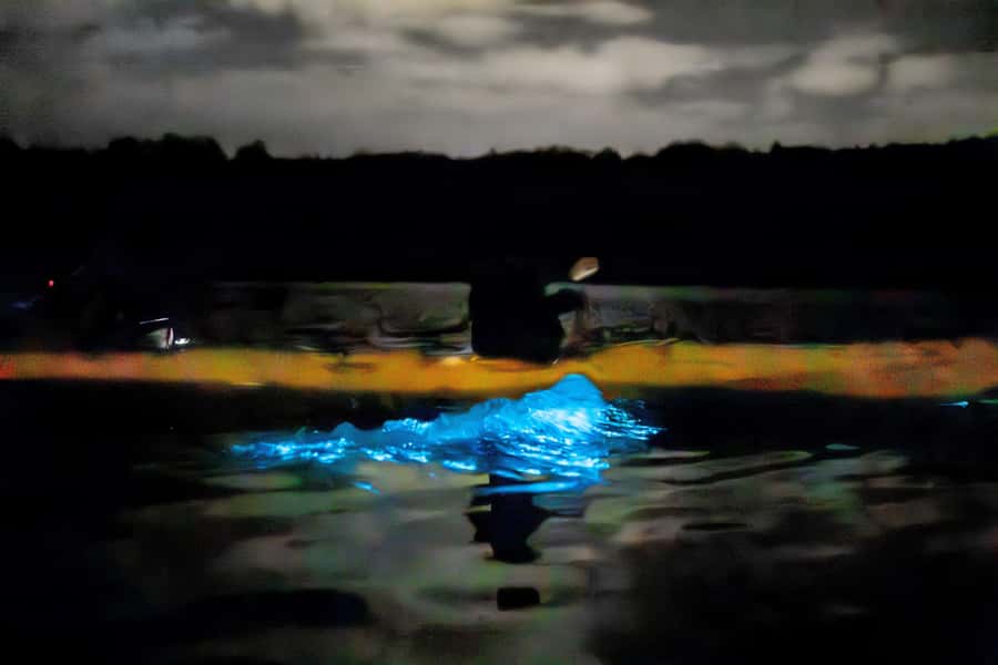Auckland: Night Kayak Tour in Glowing Bioluminescent Waters - Who this tour is best for (and who should think twice)