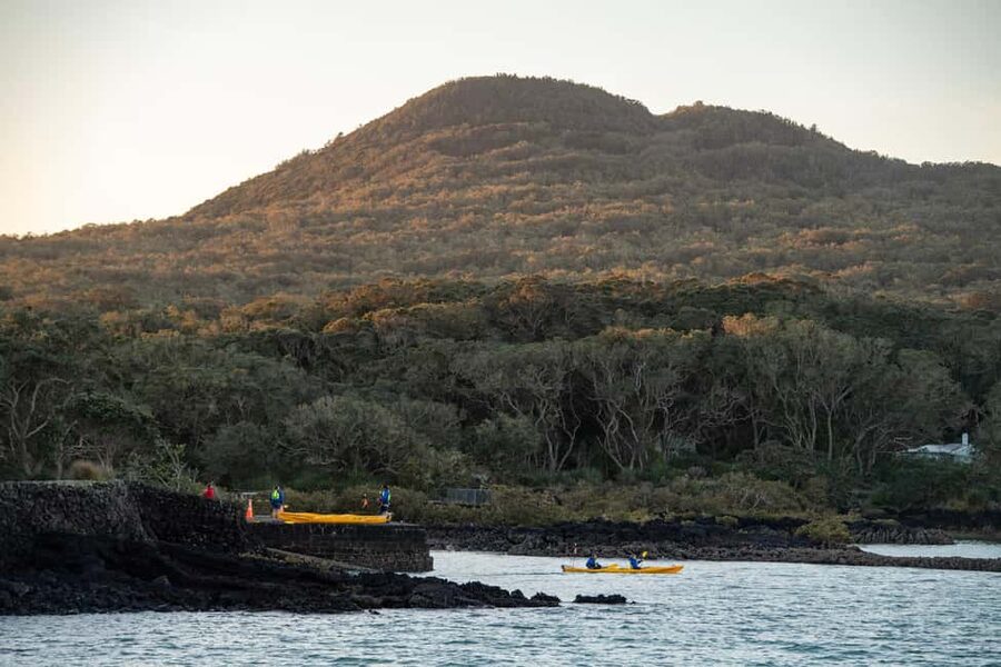 Auckland: Sunset & Night Sea Kayak Tour to Rangitoto Island - Kiwi BBQ dinner: the warm meal that turns the day into a full experience