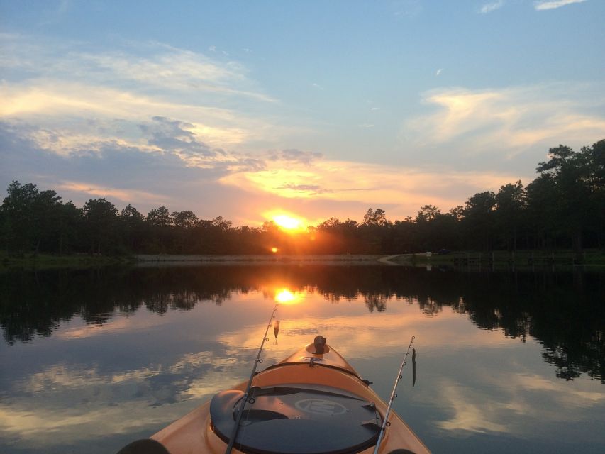 Austin: Sunset Bat Watching Kayak Tour - Key highlights