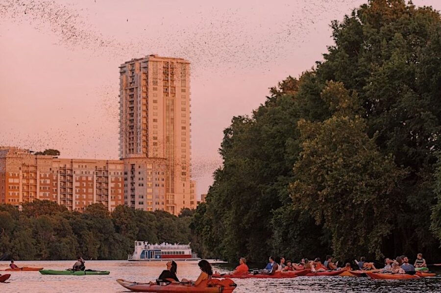Austin: Sunset Bat Watching Kayak Tour - Meet at Austin Rowing Club and Get Set Up Fast