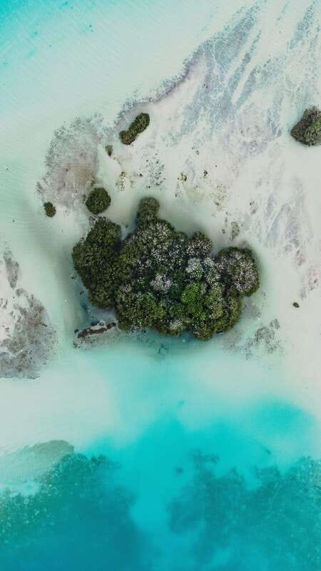 Bacalar & Cenotes: 3 hours kayak rental with snorkeling gear - Meeting point, gear handoff, and the first 20 minutes