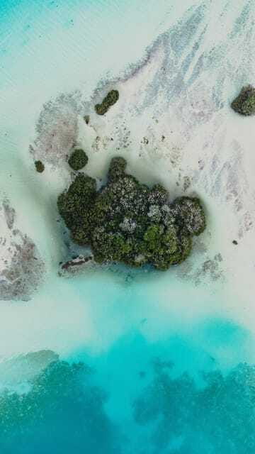 Bacalar & Cenotes: 3 hours kayak rental with snorkeling gear - Laguna club access, parking, and the small comforts that save your energy